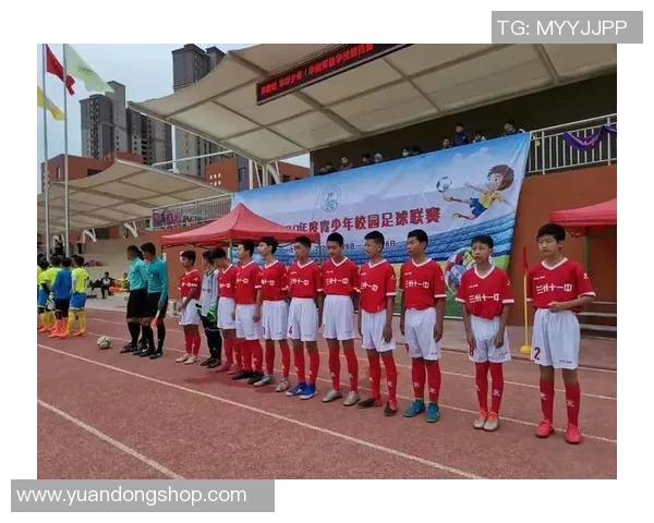 夺冠之路的艰辛与荣耀足球梦想成真感言分享